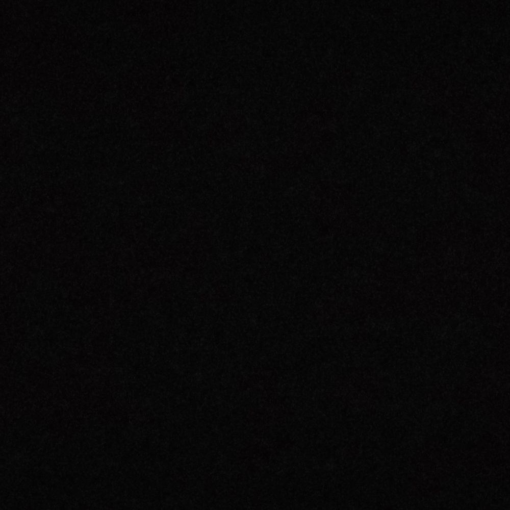 Black slug in the dark